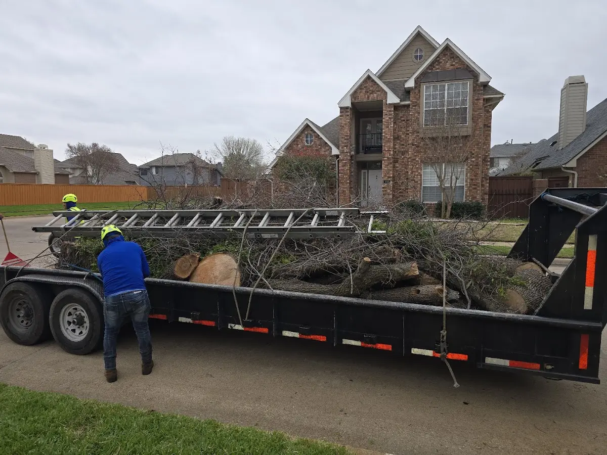 Expert Crown Reduction with proper safety equipment in South Pekin